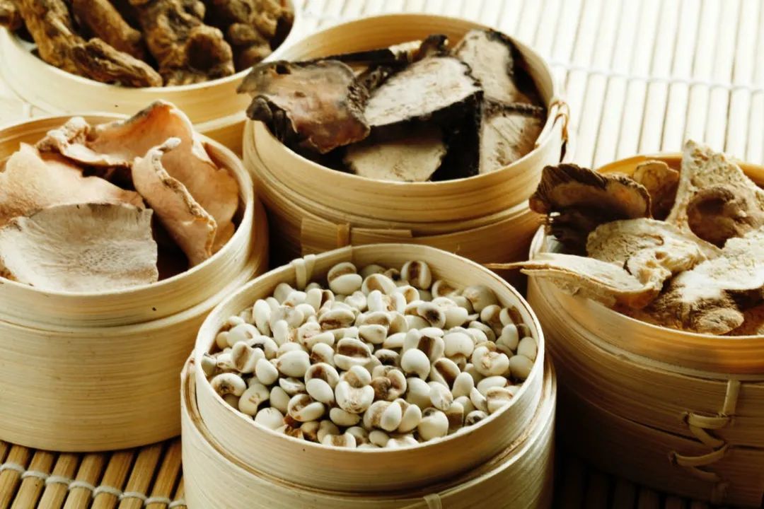中国优游博览会