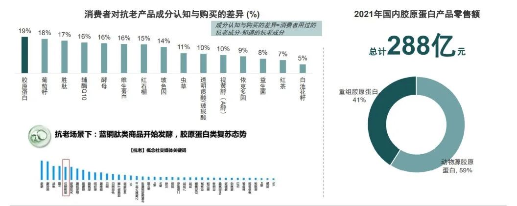 中国优游博览会