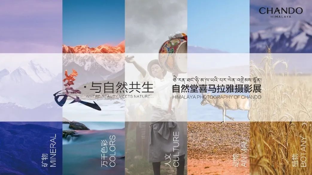 中国优游博览会