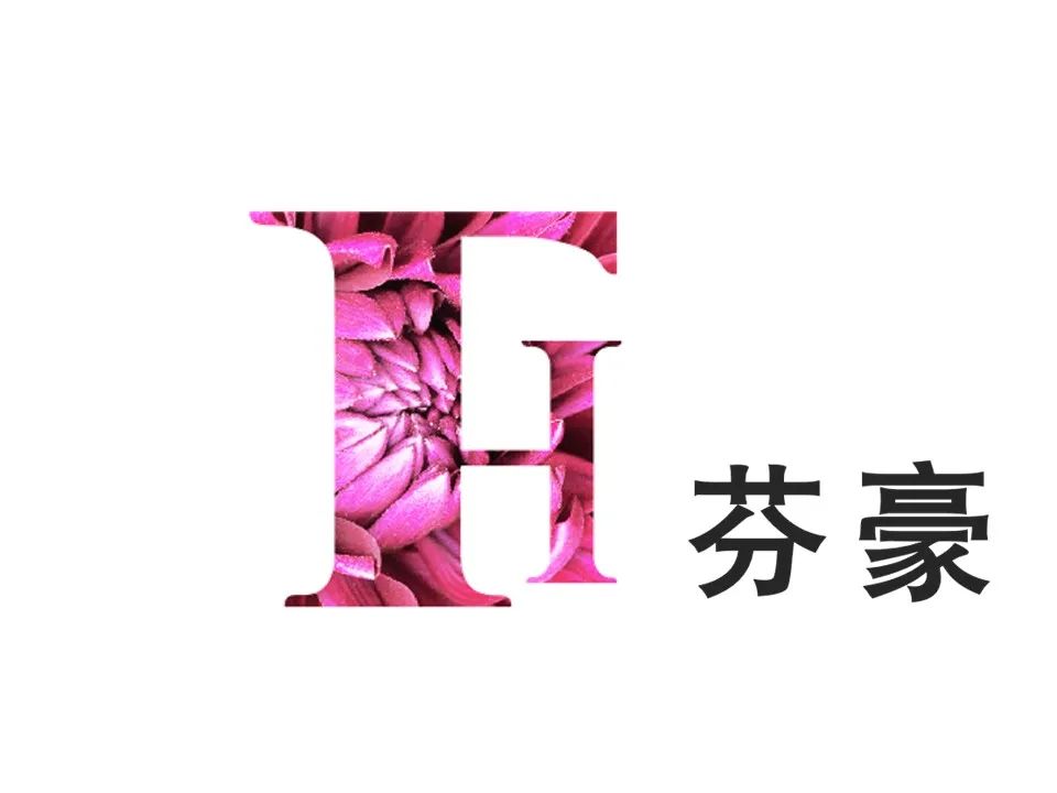 中国优游博览会