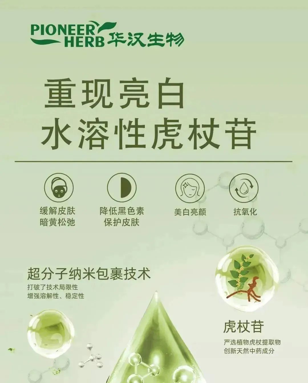 中国优游博览会