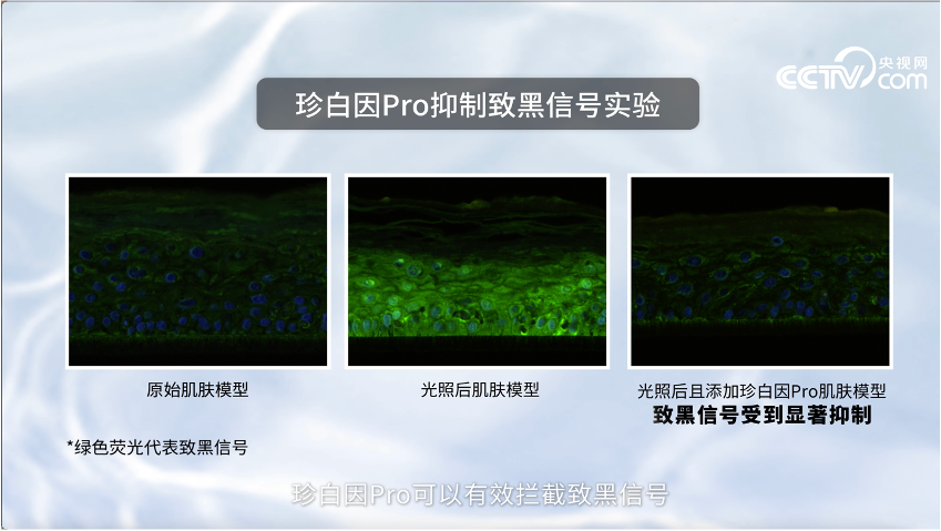 中国优游博览会