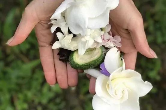 中国优游博览会